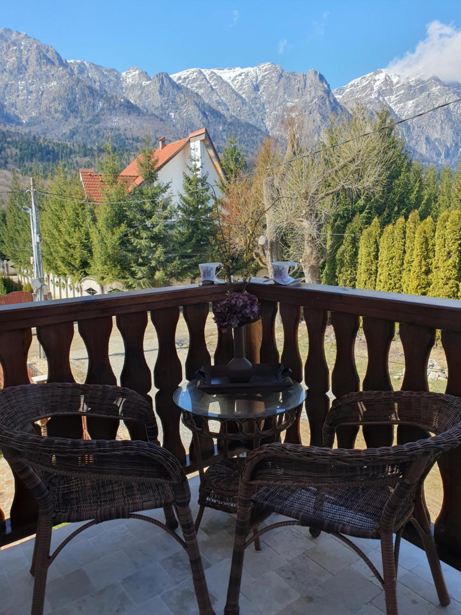 Poiana Golf Chalet 부스테니 외부 사진